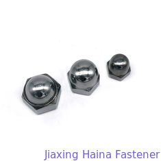 High Tensile Decorative Hex Cap Nuts , Stainless Nuts Drawing Request Finish