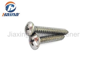Filo di spillatura di A2 A4 Pan Head Cold Forging Philips Self Tapping Screws With