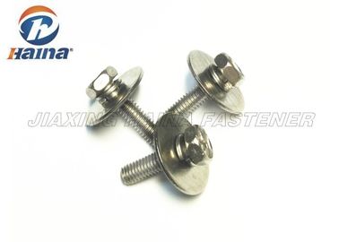 Viti di macchina di combinazione della testa esagonale di SUS304 SUS316 con la grande rondella piana