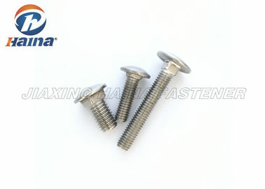 Teste del fungo di SS304 SS316 bulloni a testa tonda quadrati del collo di lunghezza di 200mm - di 16mm