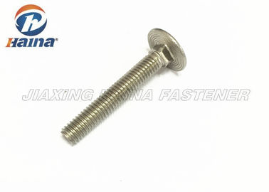 BACCANO quadrato capo del collo del fungo a 4 pollici di acciaio inossidabile 316 603 bulloni a testa tonda