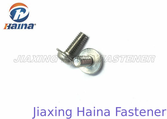304 / 316 Stainless Steel Wafer Head Thread Self Tapping Drywall Screws